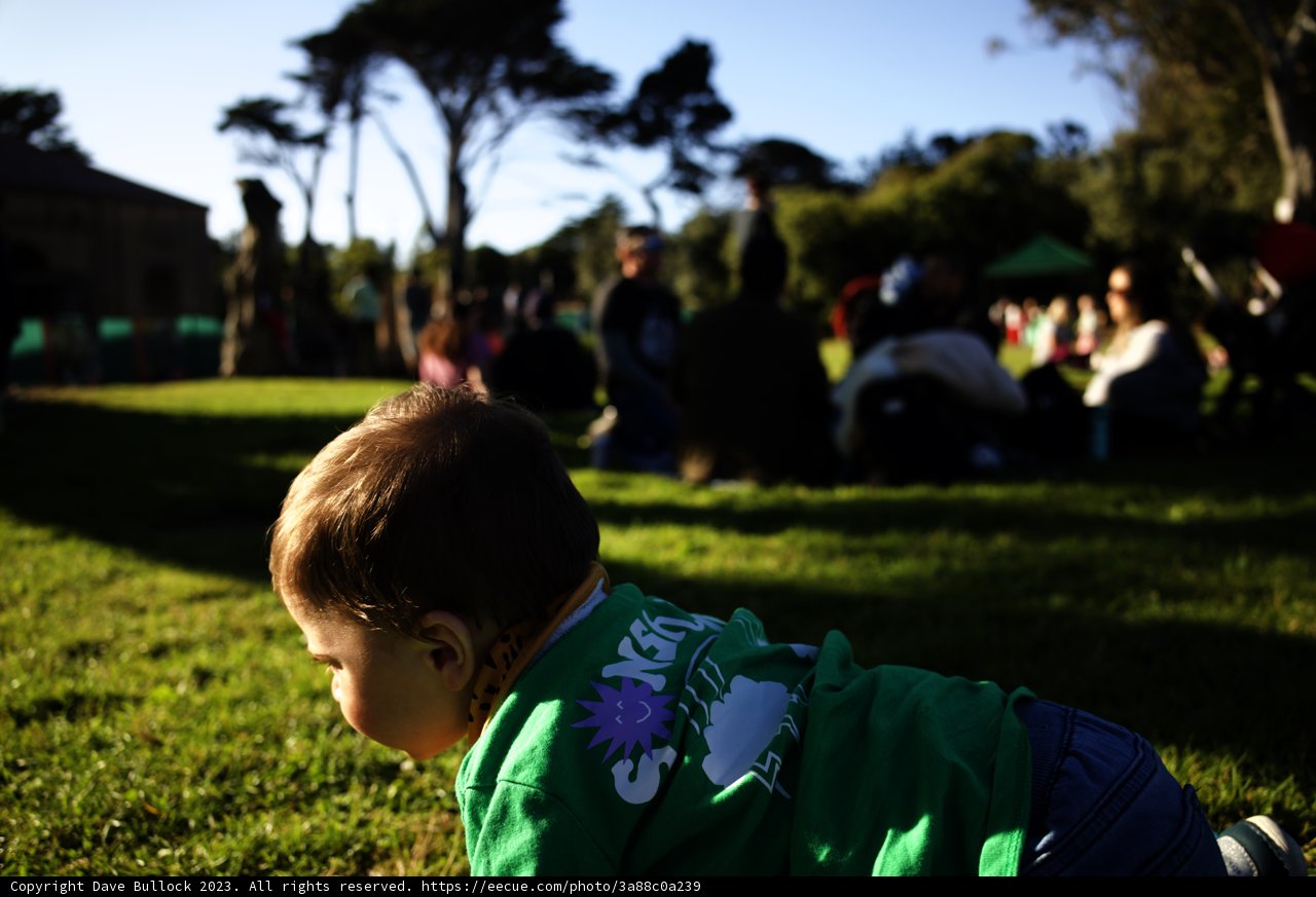 First Crawling Adventure at Dolores Park, 2023