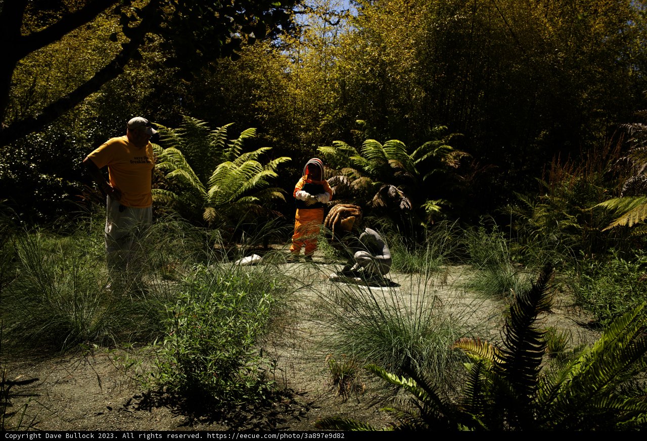 Summer Wilderness Exploration, 2023