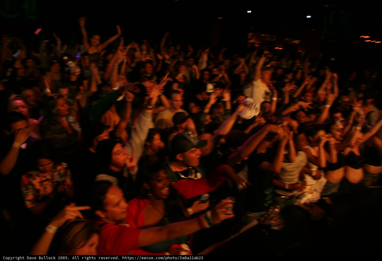 Crowd Goes Wild