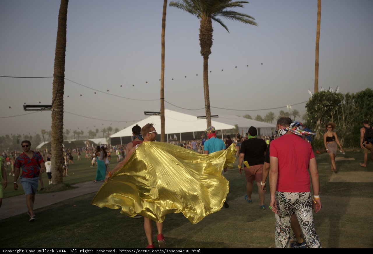 Yellow Dress in the Green Oasis