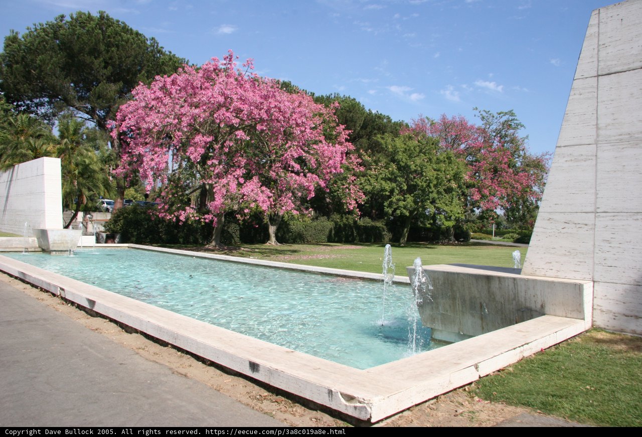A Serene Oasis in the Heart of the City