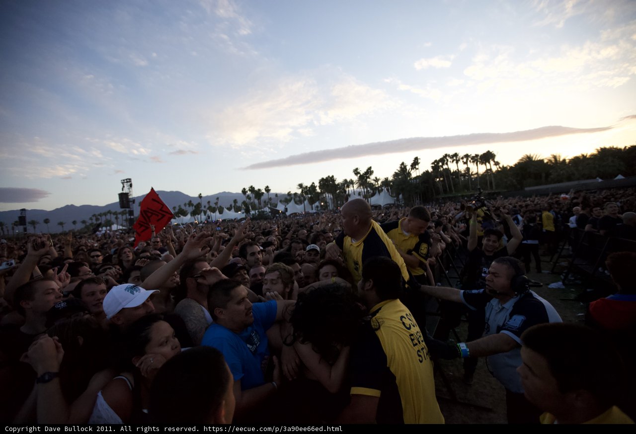 The Flag-Waving Crowd