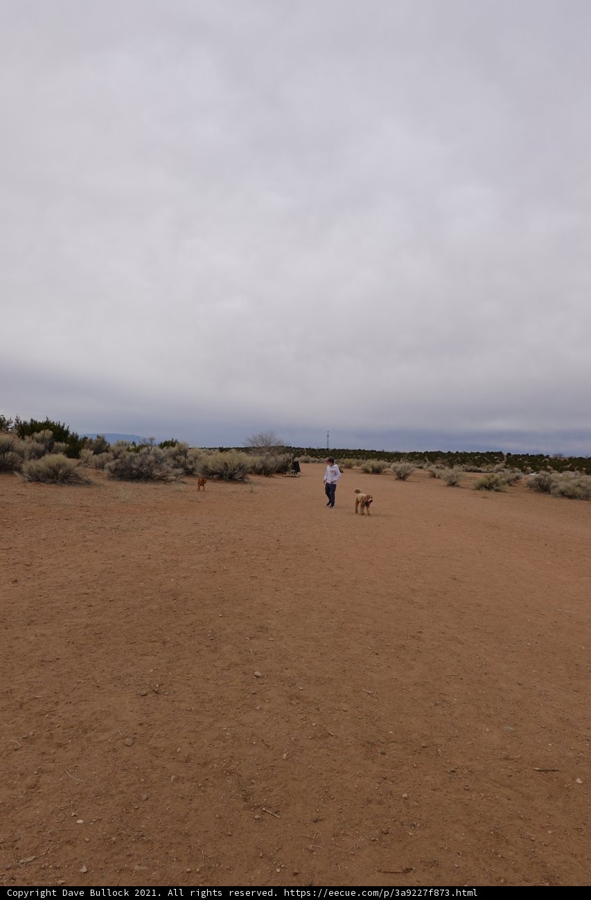 Desert Walk with my Pooch