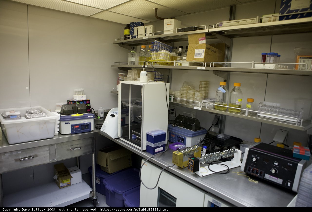 Inside the Lab