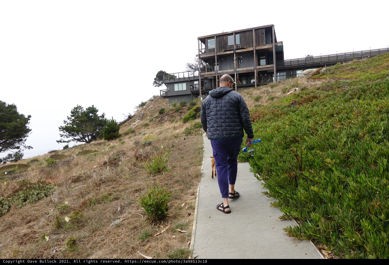 Hillside Path to Modern Coastal Homes