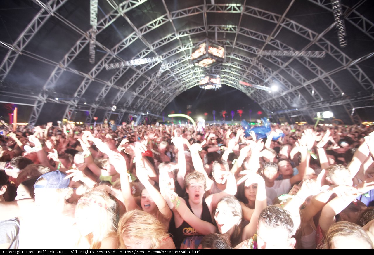 Coachella Crowd