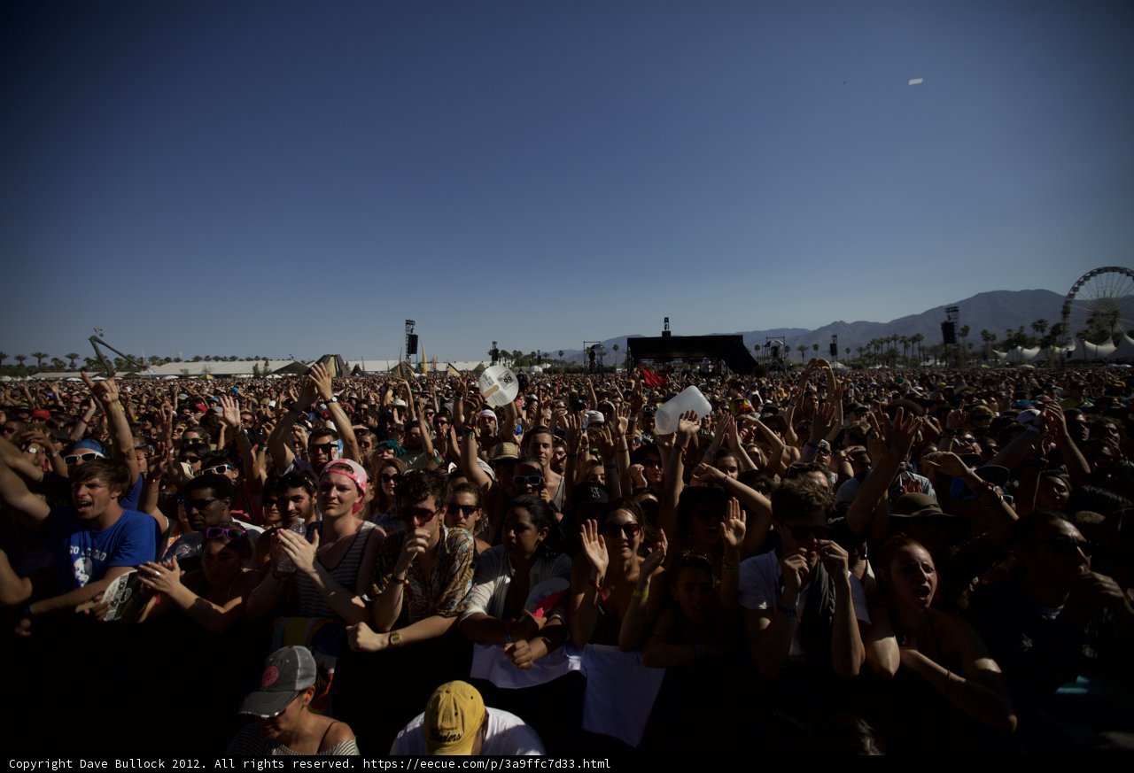 Coachella Crowd Madness