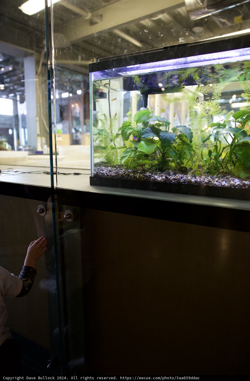 Exploring Aquatic World
