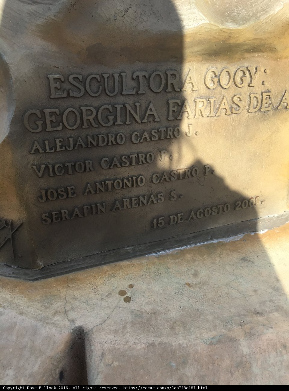 Georgina Castaño de la Riva - A Trailblazer