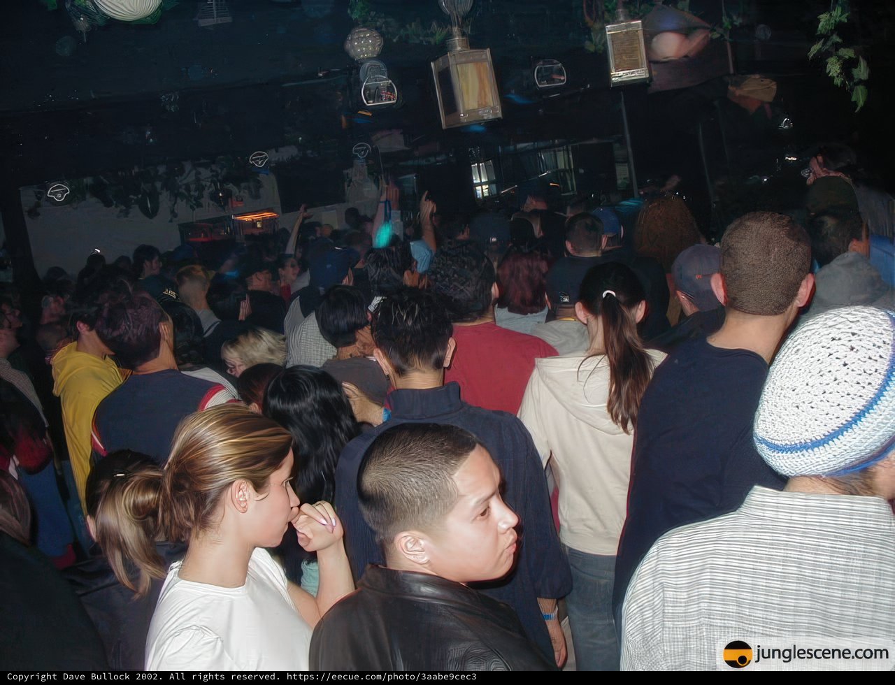 Nightclub Fun with a Diverse Crowd