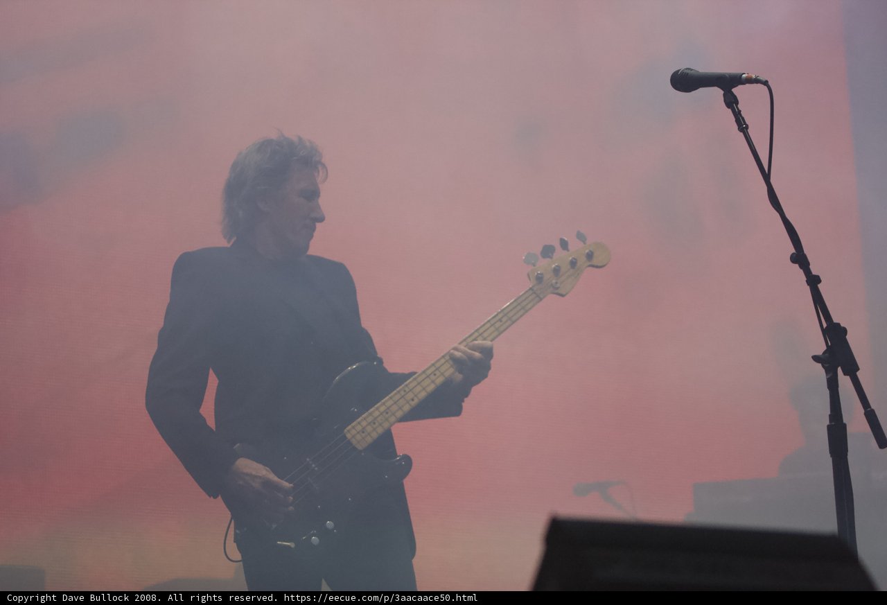 Bass Player Rocks Coachella Stage