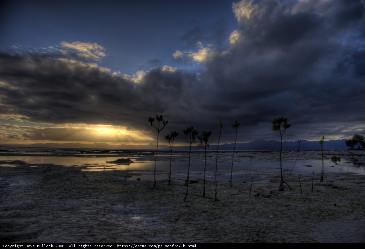 Serene Beachscape Under a Cloudy Sky
