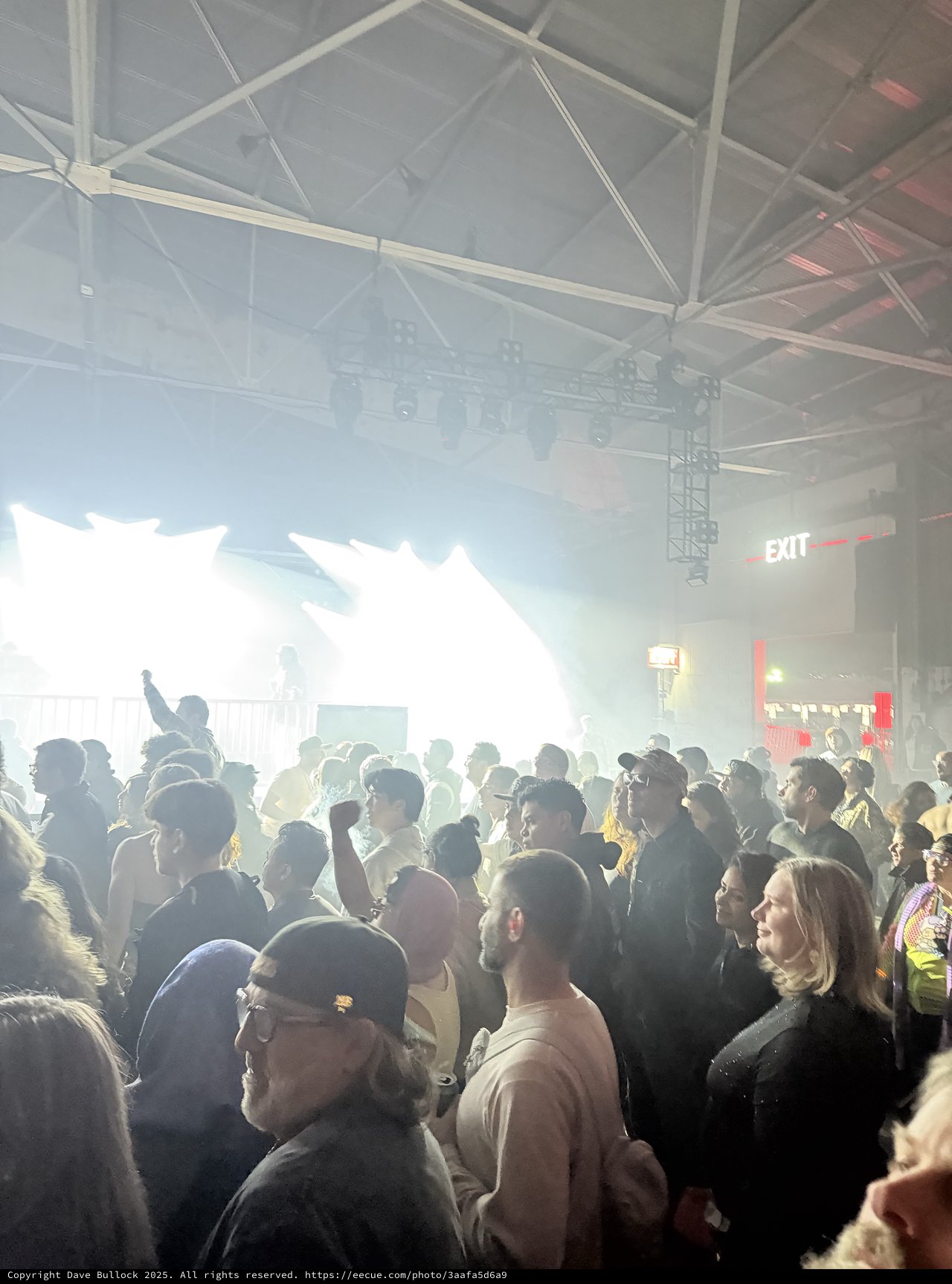 Energetic Crowd at Electronic Music Concert with Stage Fog