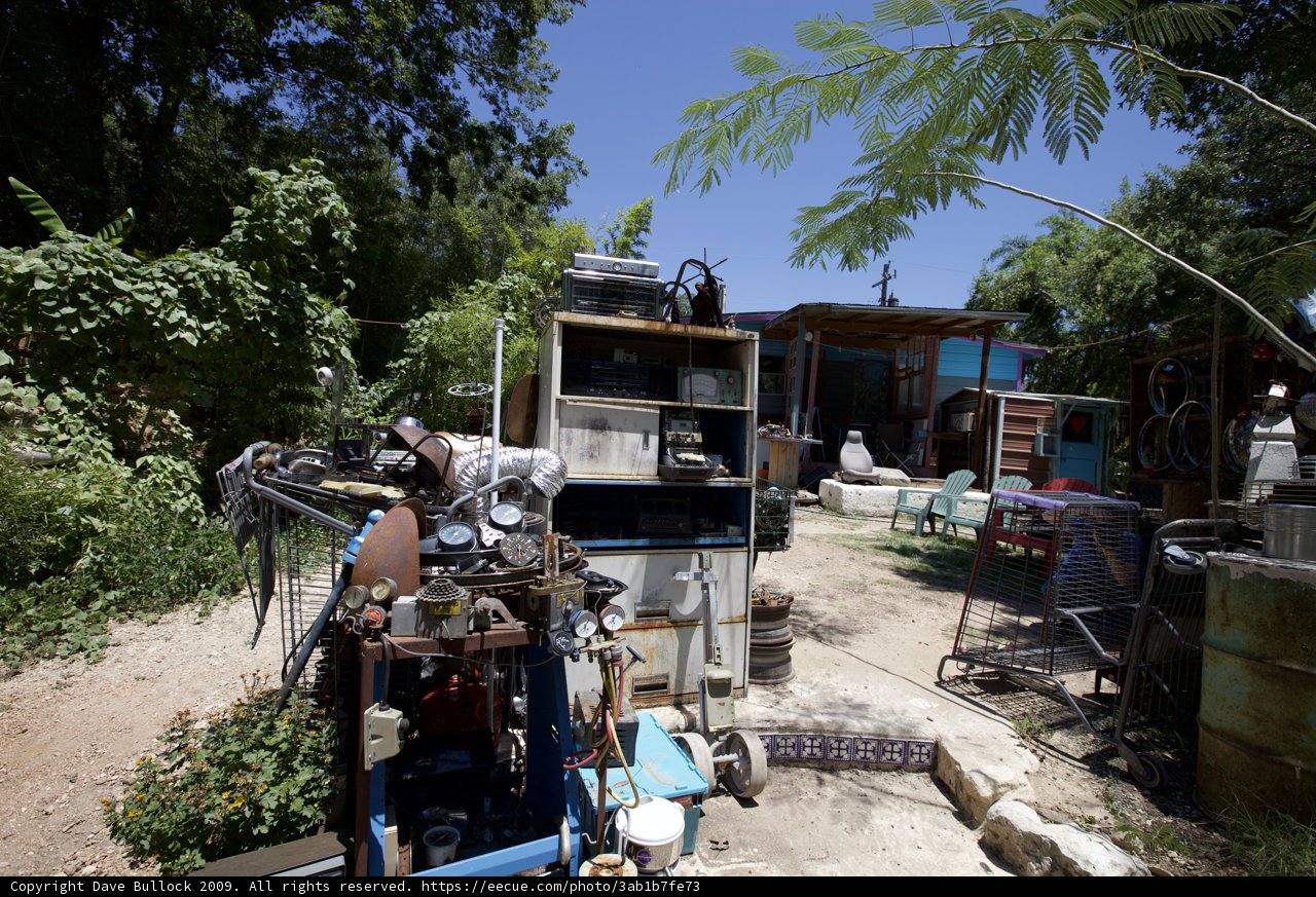 The Junkyard Tree
