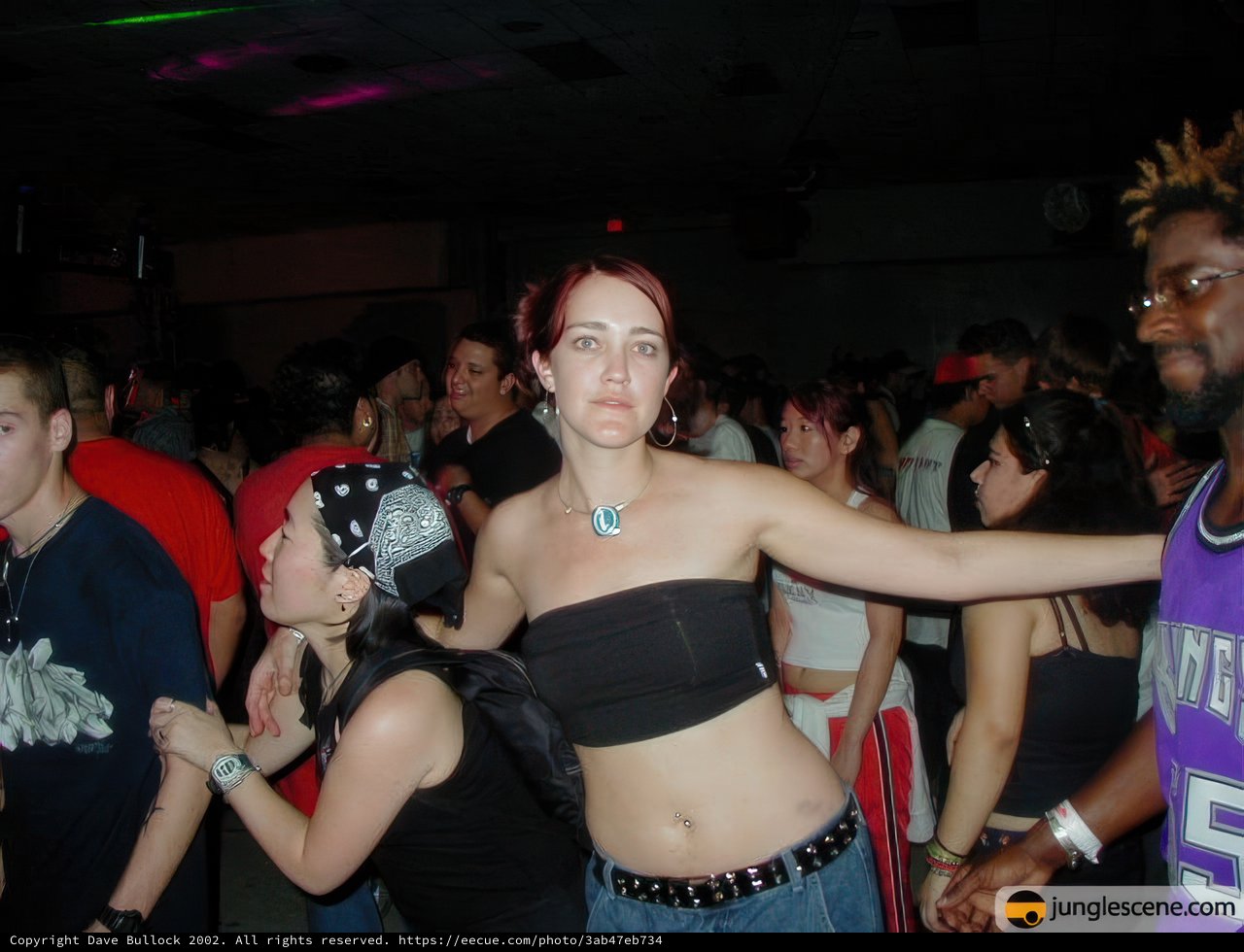 Nightlife at Audiotistic 2002