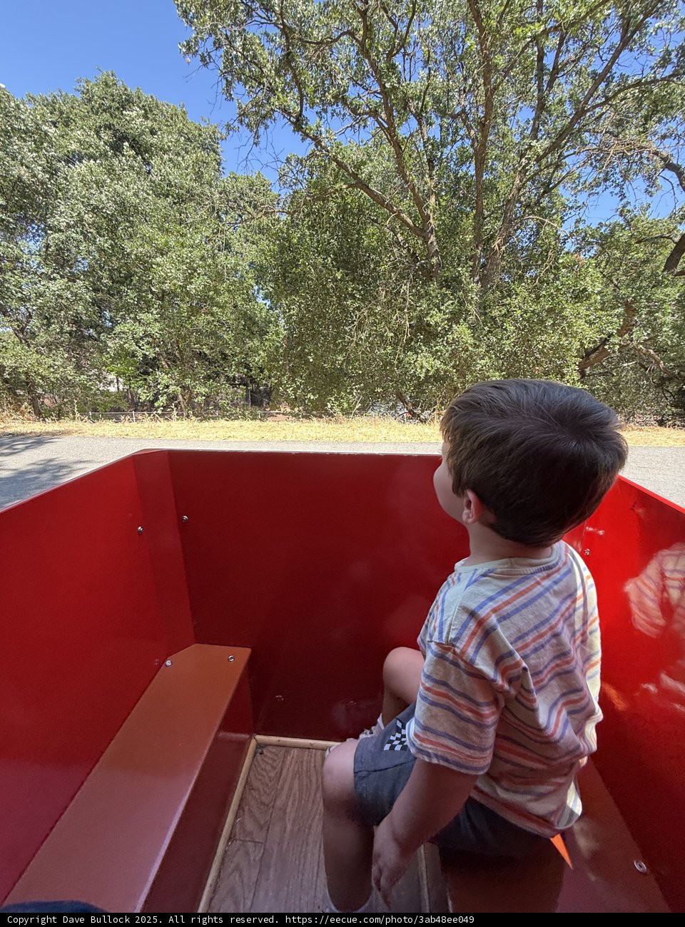 Adventure Awaits