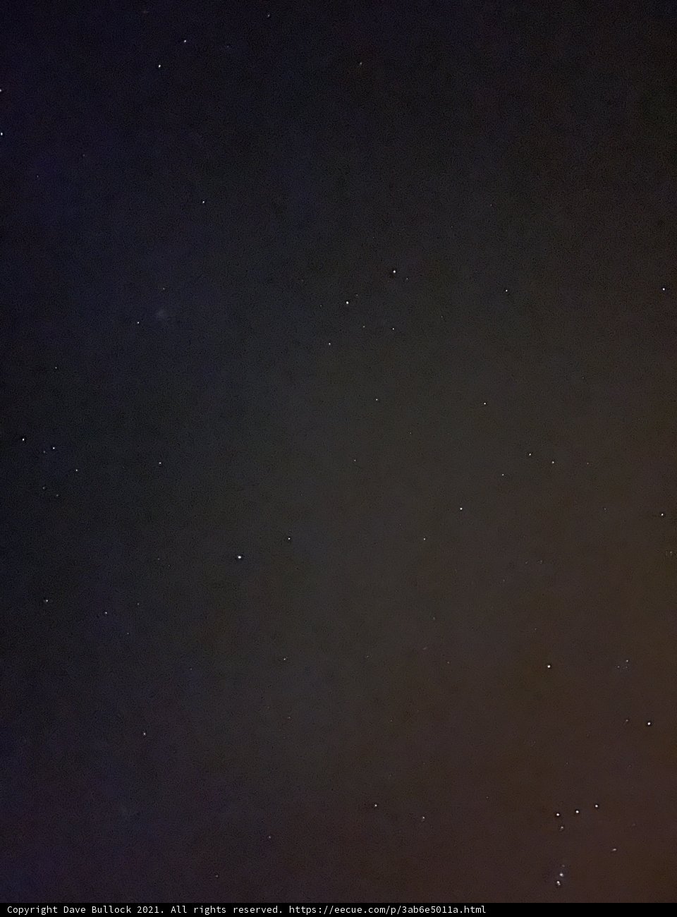 Starry Night in Coconino National Forest