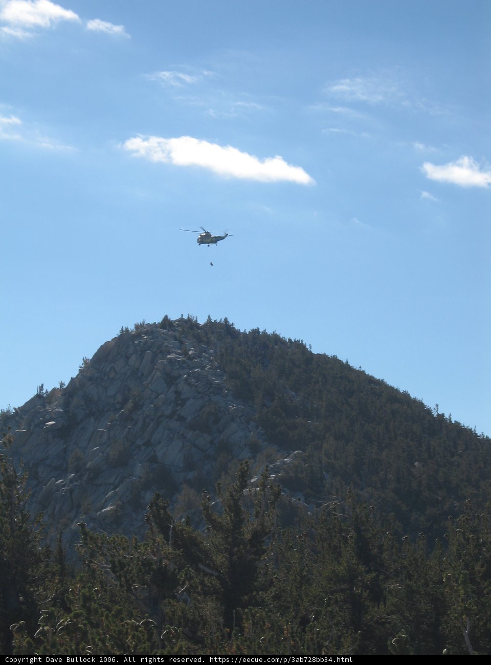 Flying above the Mountain and Tree