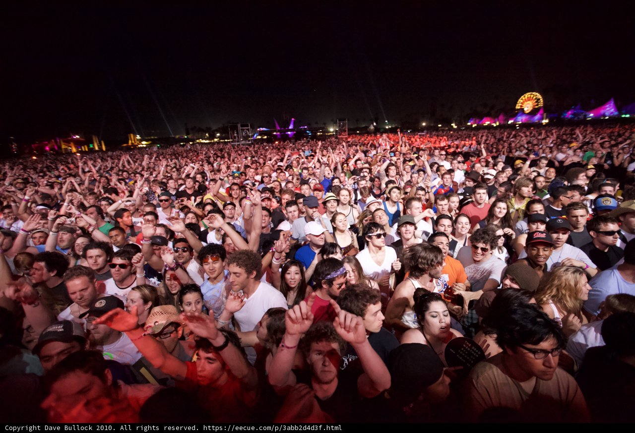 Crowd under the Night Sky