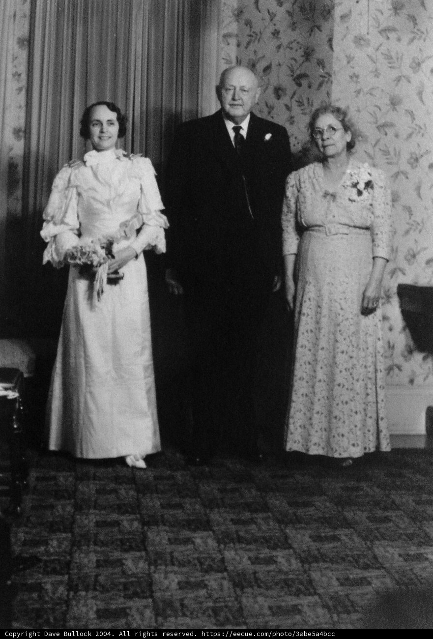 Elegant Wedding Party