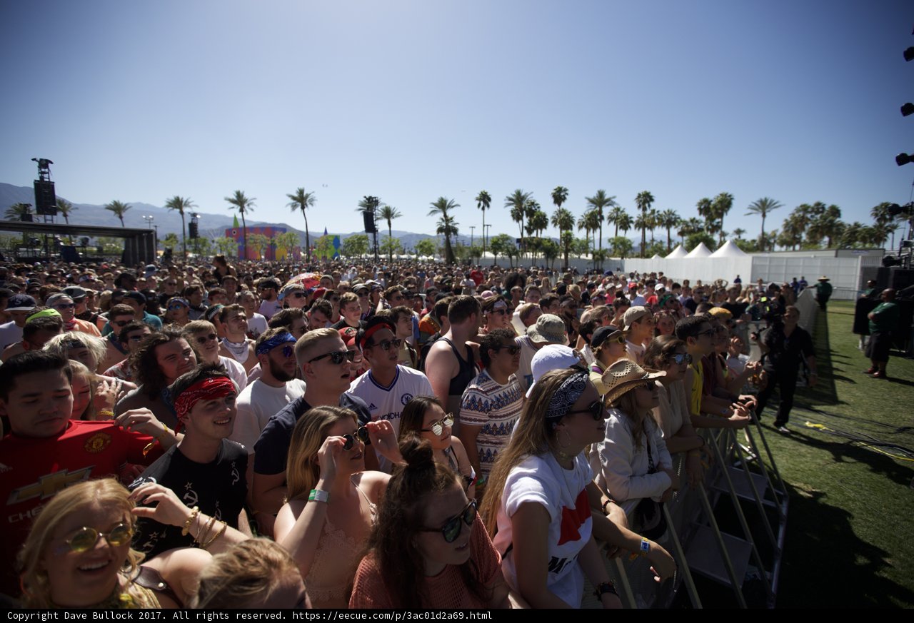 Festival Frenzy