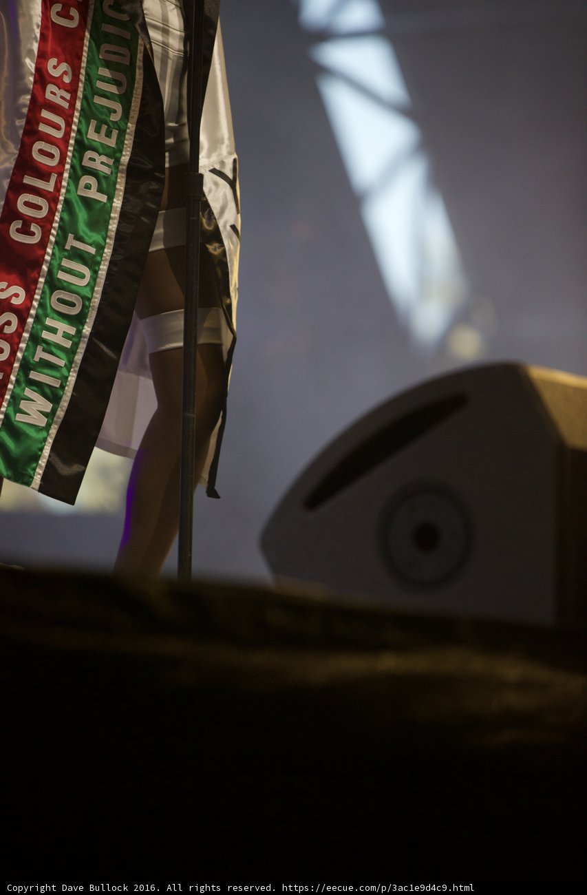Flag-bearing Woman