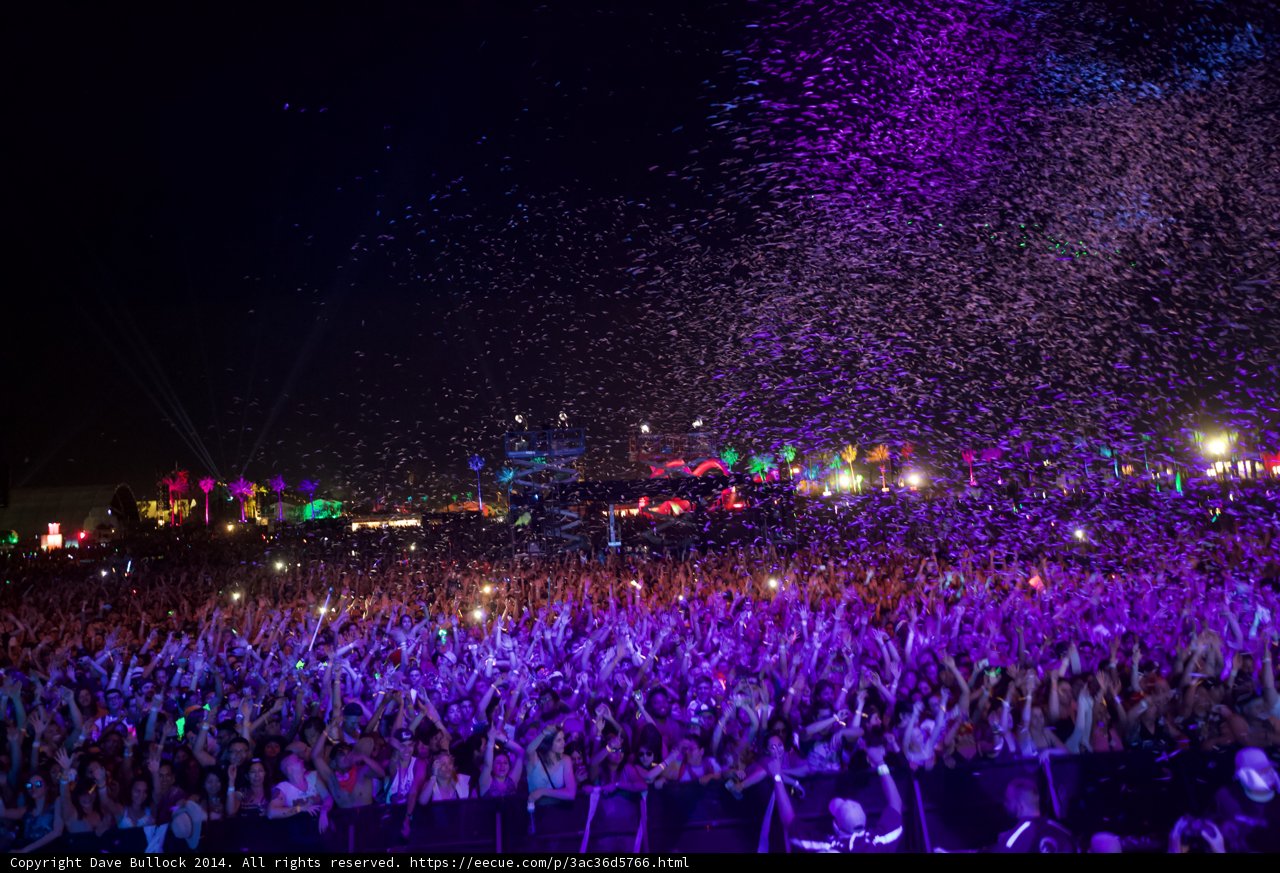 Party in Purple