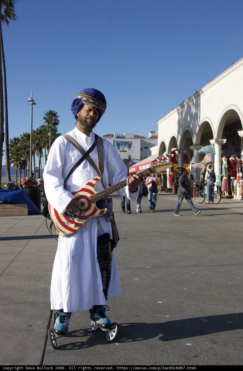 Musical Performance under the Palms