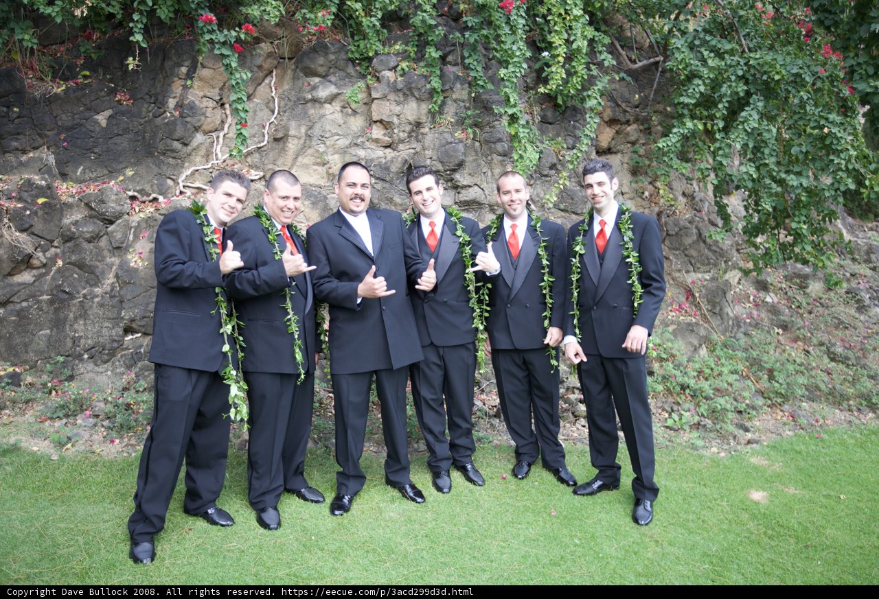 Hawaiian Wedding Party