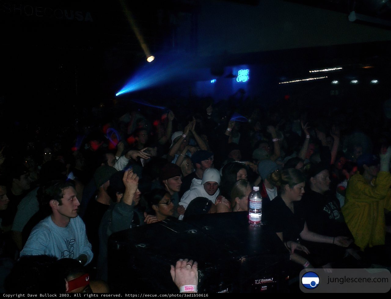 Electric Nightlife
