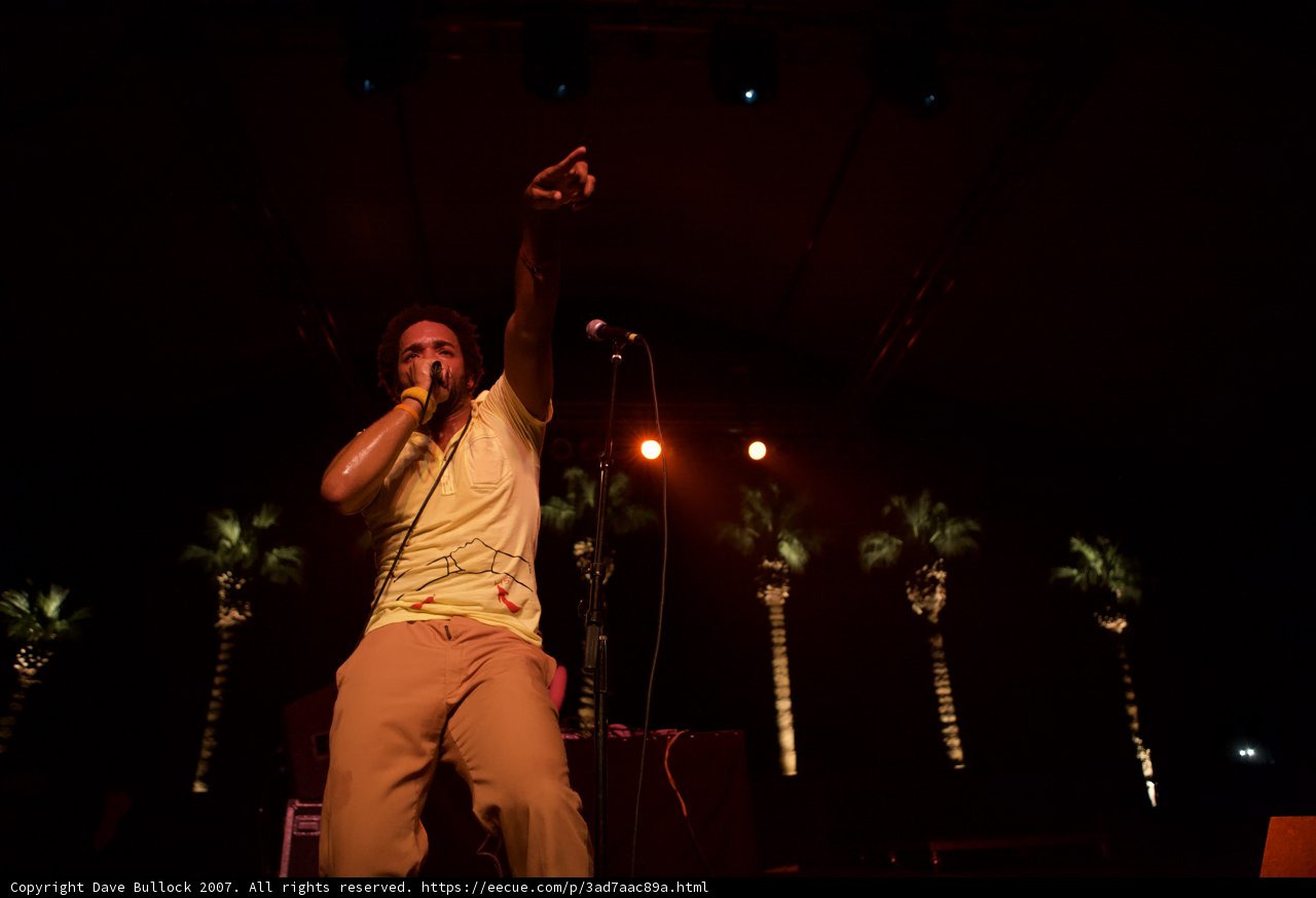 Electric Performance under the Palm Trees
