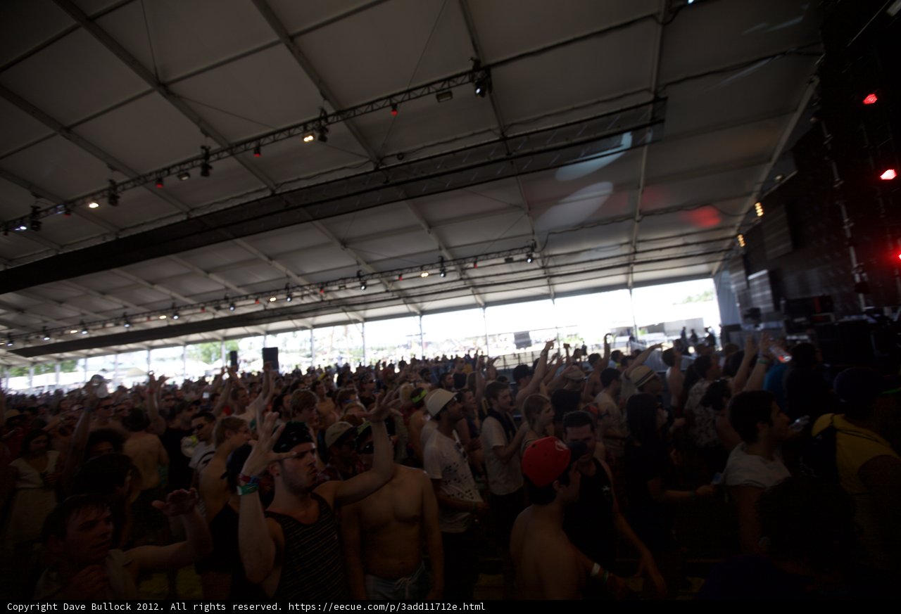 Coachella Crowd Goes Wild