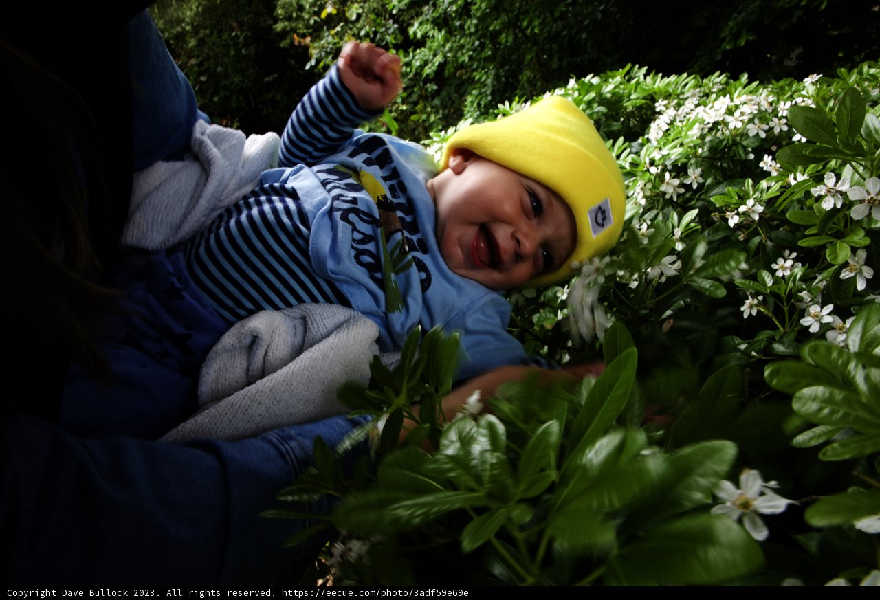 Radiant Smiles in the Botanical Garden