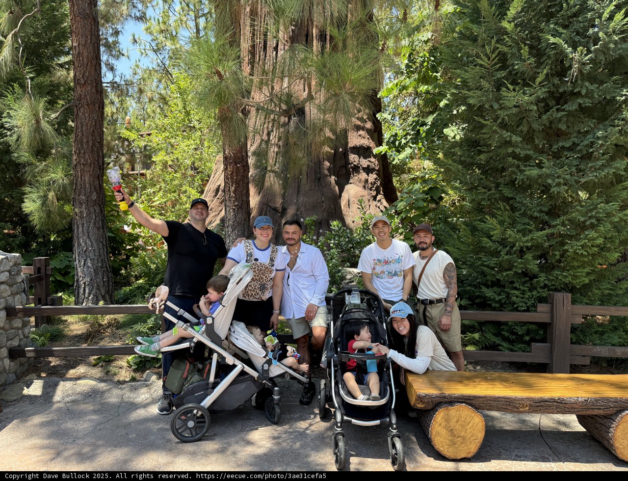 Summer Fun at Disney California Adventure