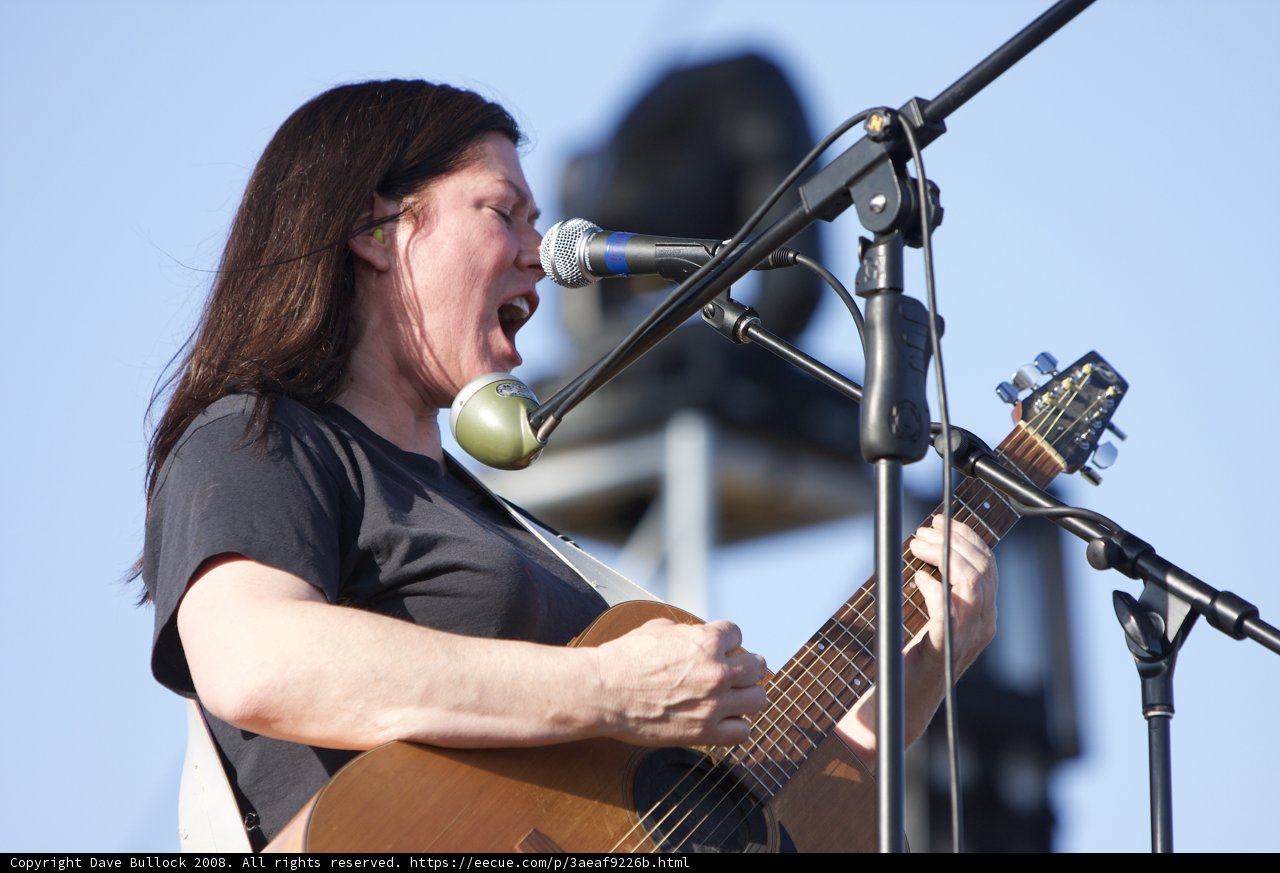 Outdoor Concert Performance