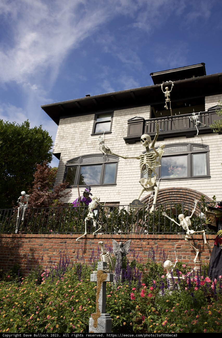 The Haunting Charm of Architecture: A Skeletal Specter in San Francisco