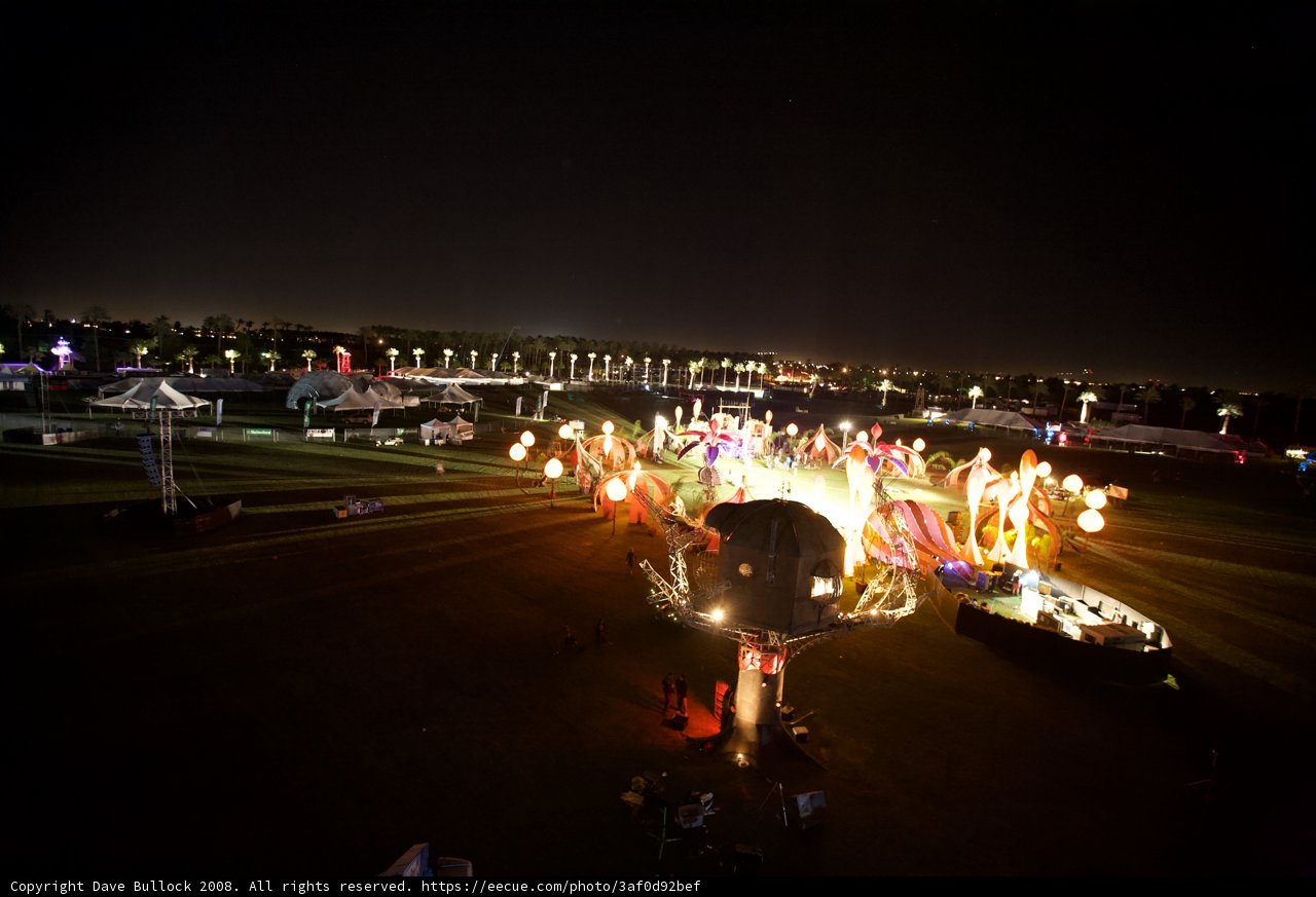 Gathering Around the Bright Lights