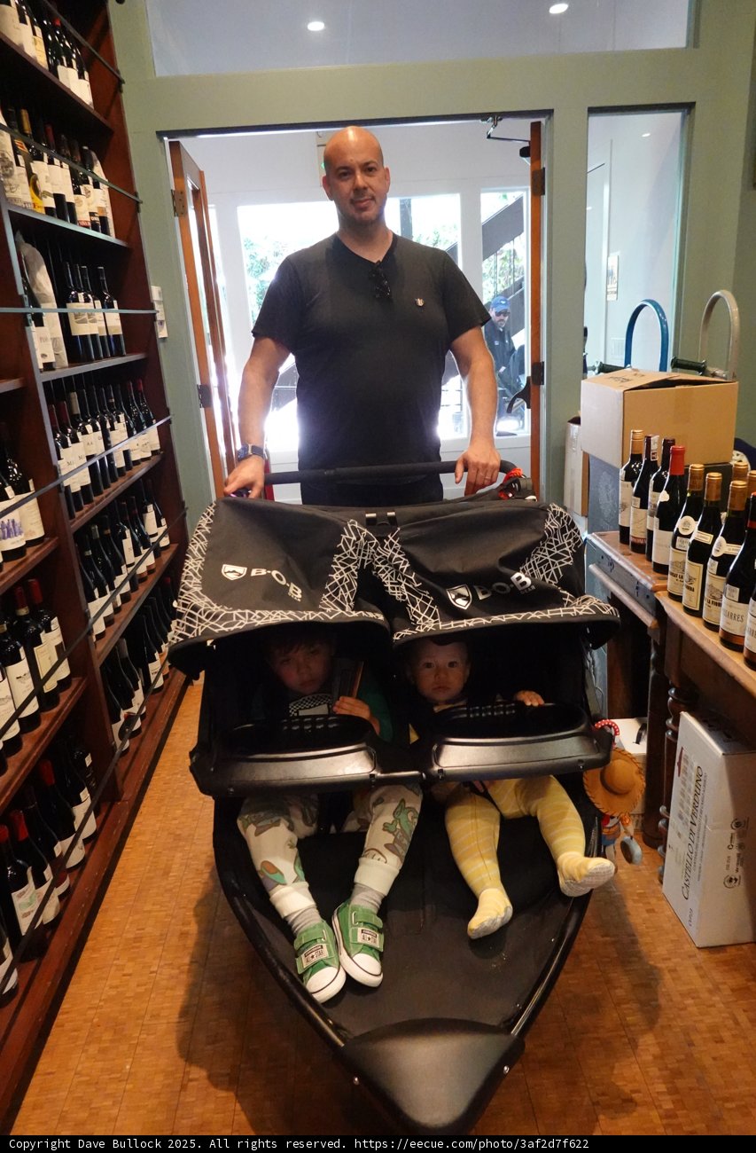 Stroll Through the Cellar