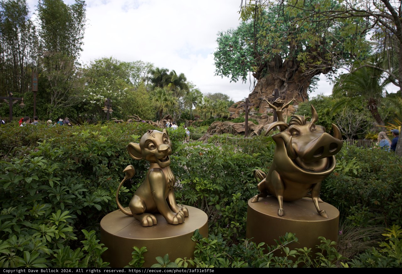 New Roar at Disneyland: The Lion King Attraction