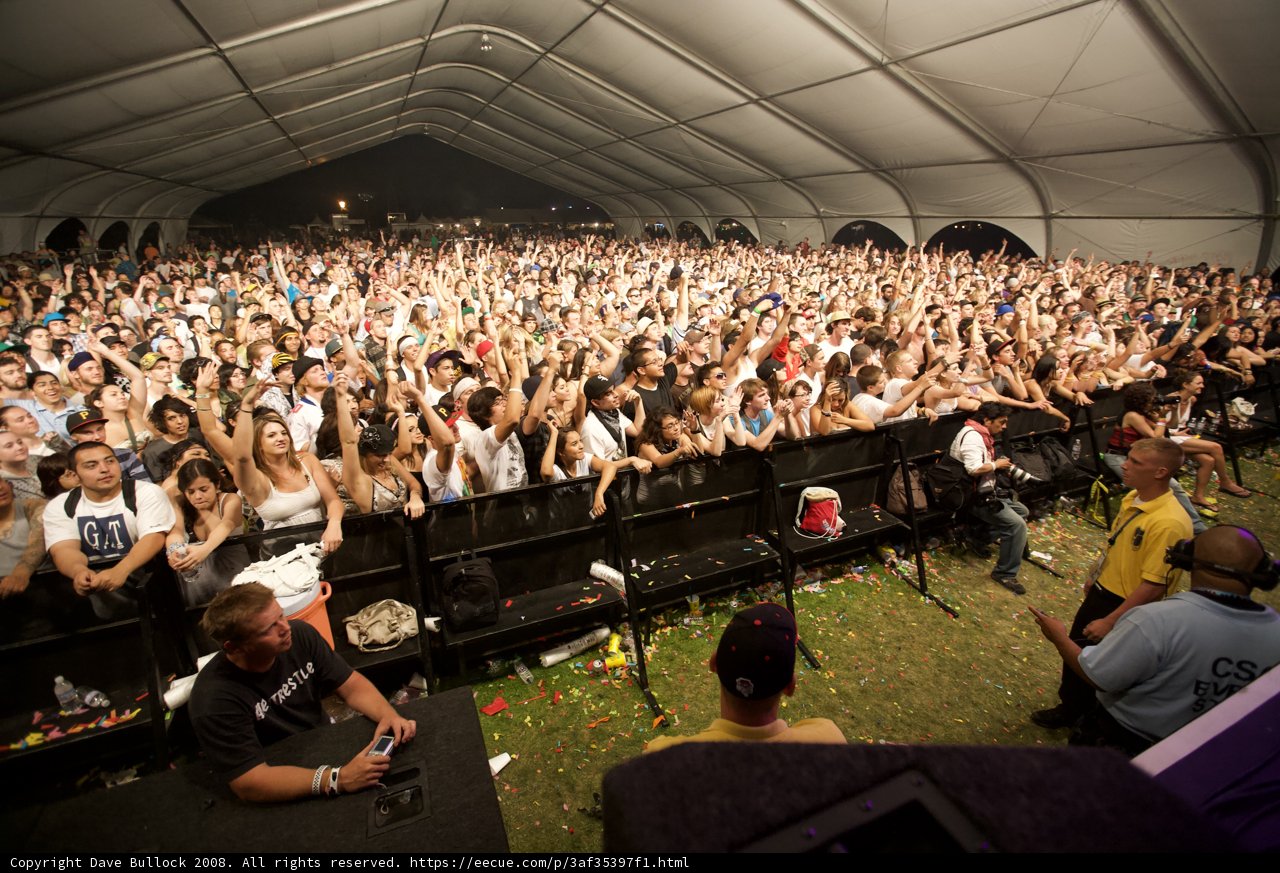 Coachella Crowd Goes Wild