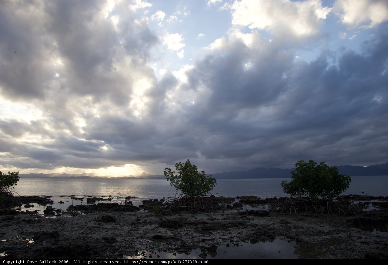 Dramatic Cumulus Clouds Over Fiji Trees