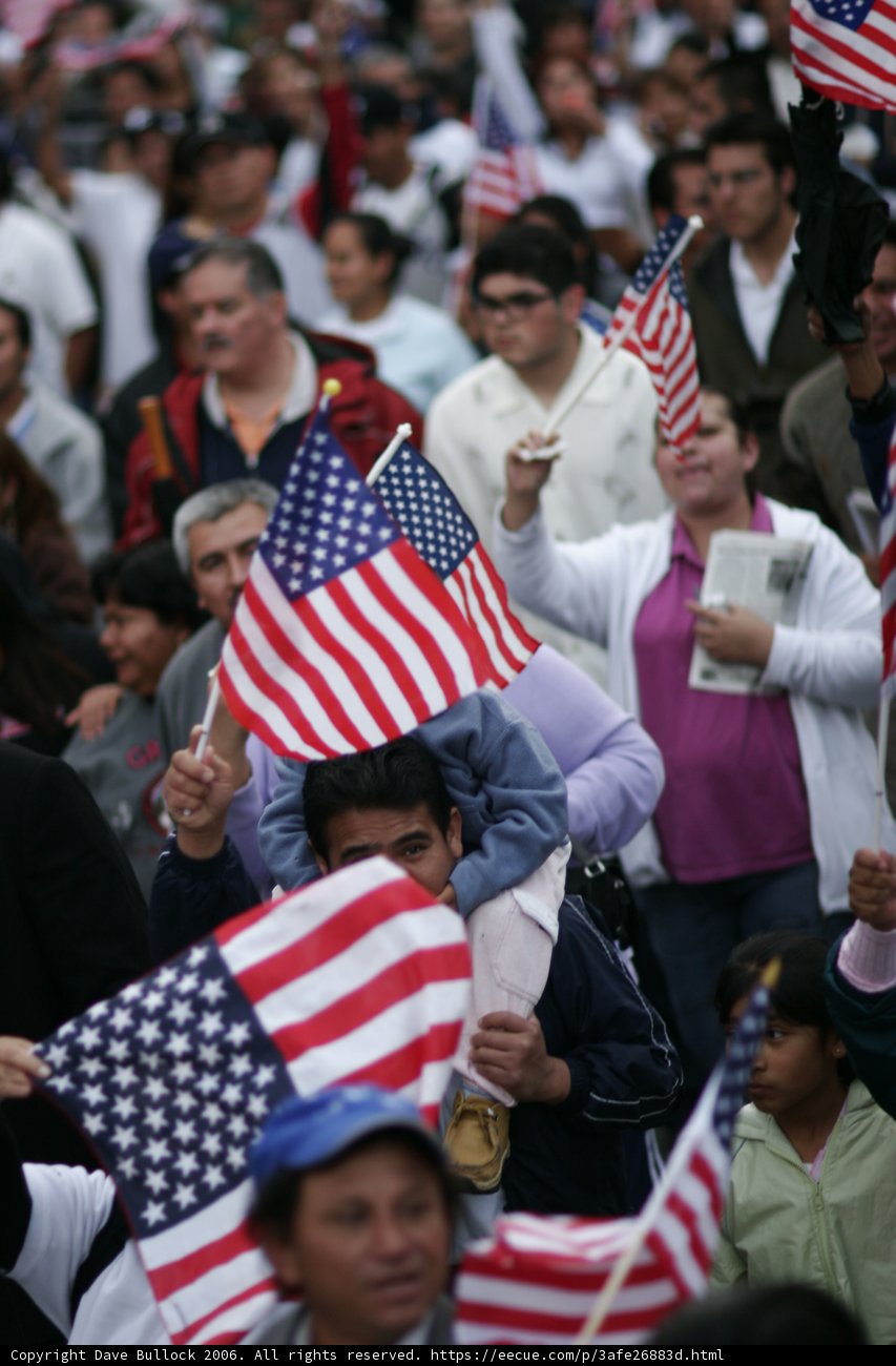 Patriotic Crowd