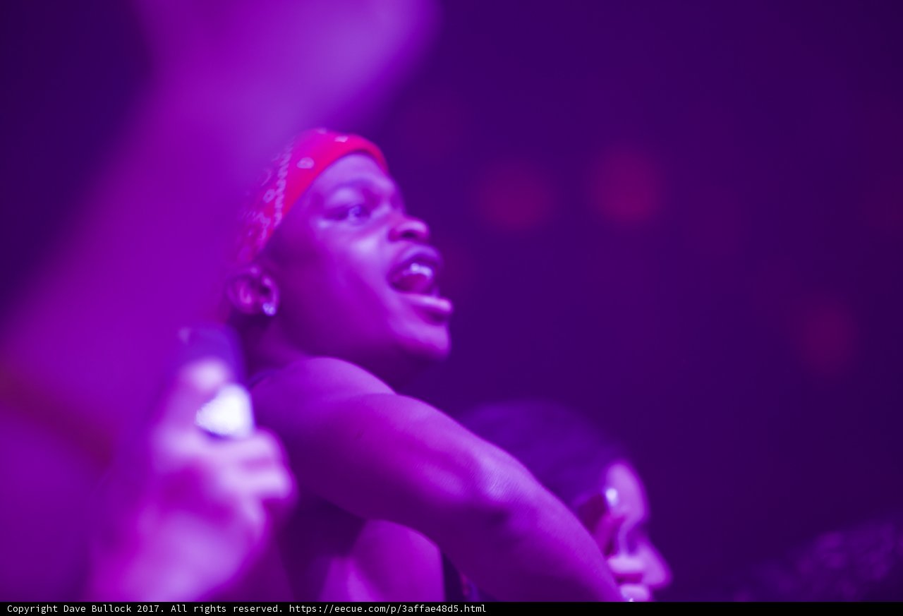Purple Haze
