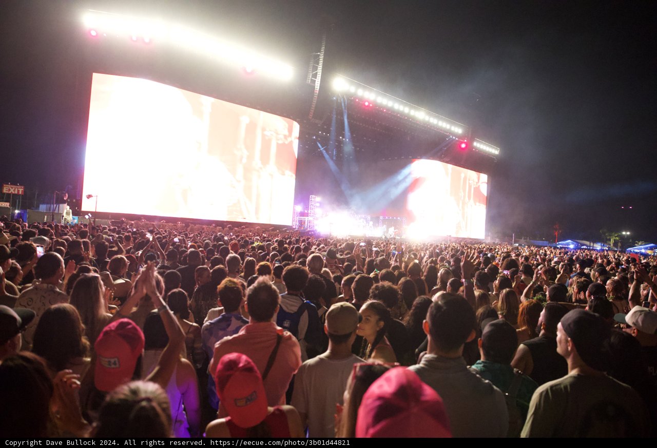 Electric Nights at Coachella 2024