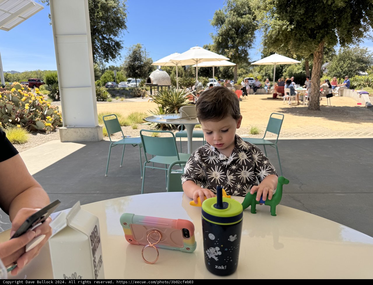 Afternoon Playtime at the Cafe