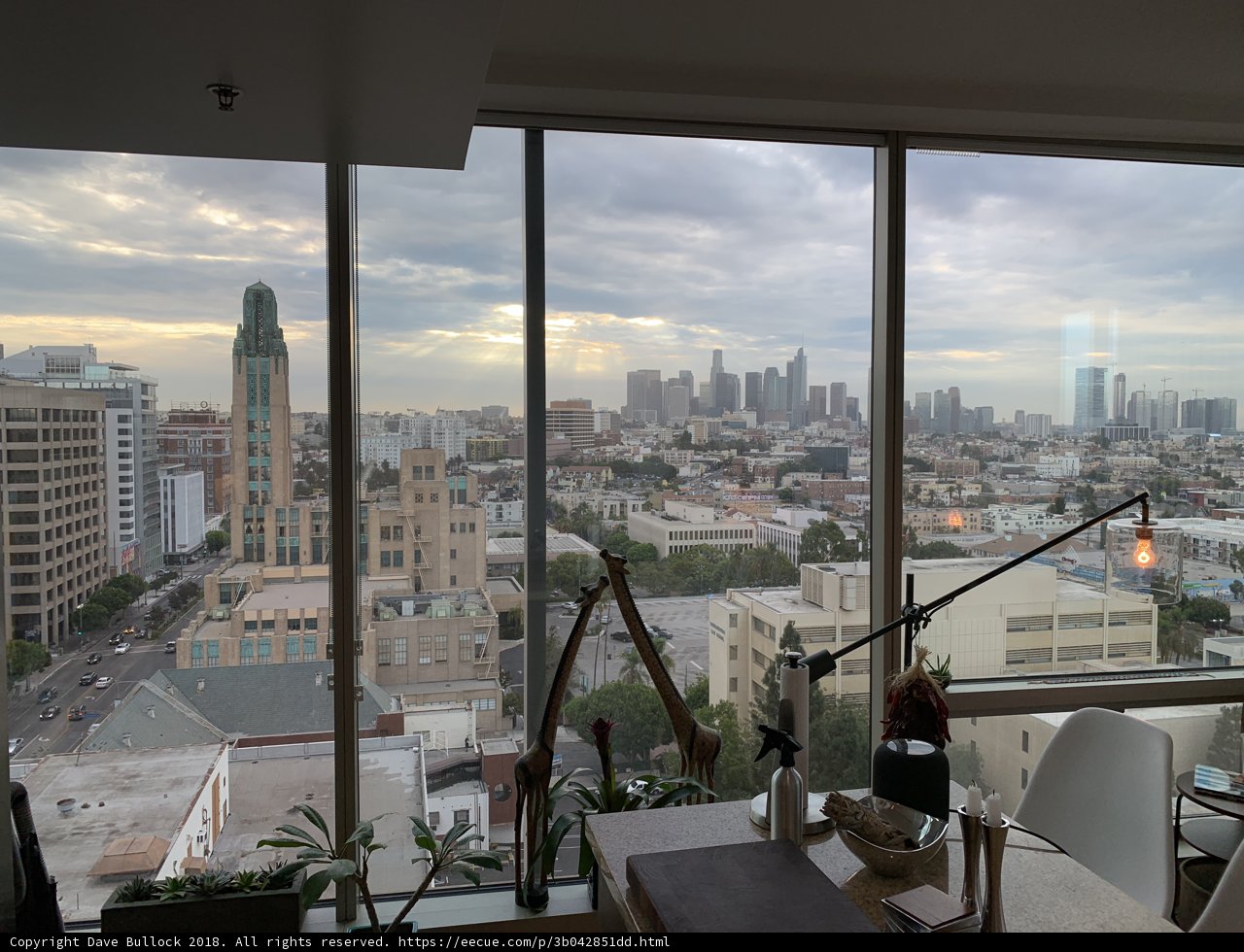 The Urban Jungle from Above