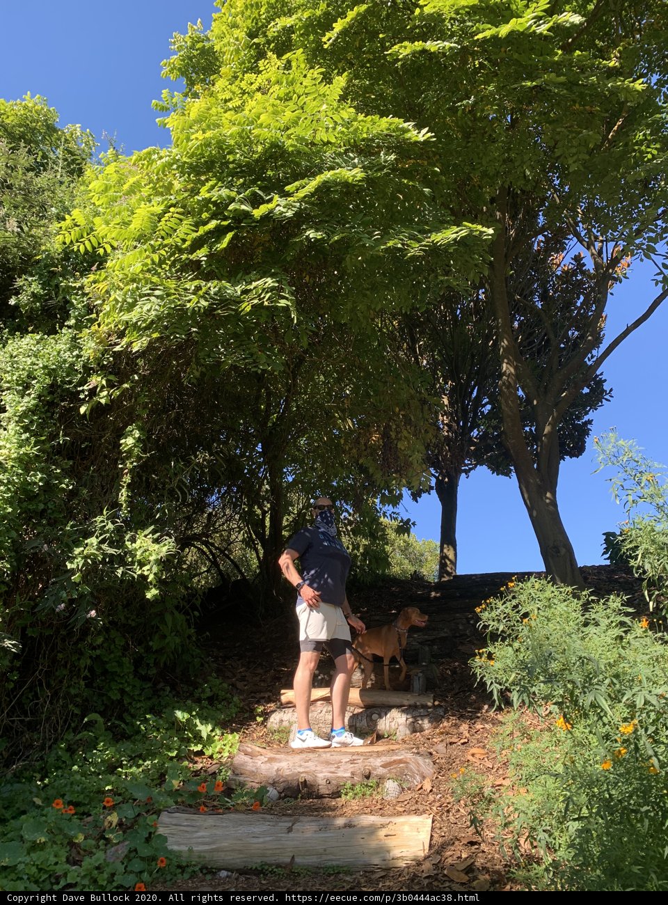 A Walk in the Woods with My Best Friend