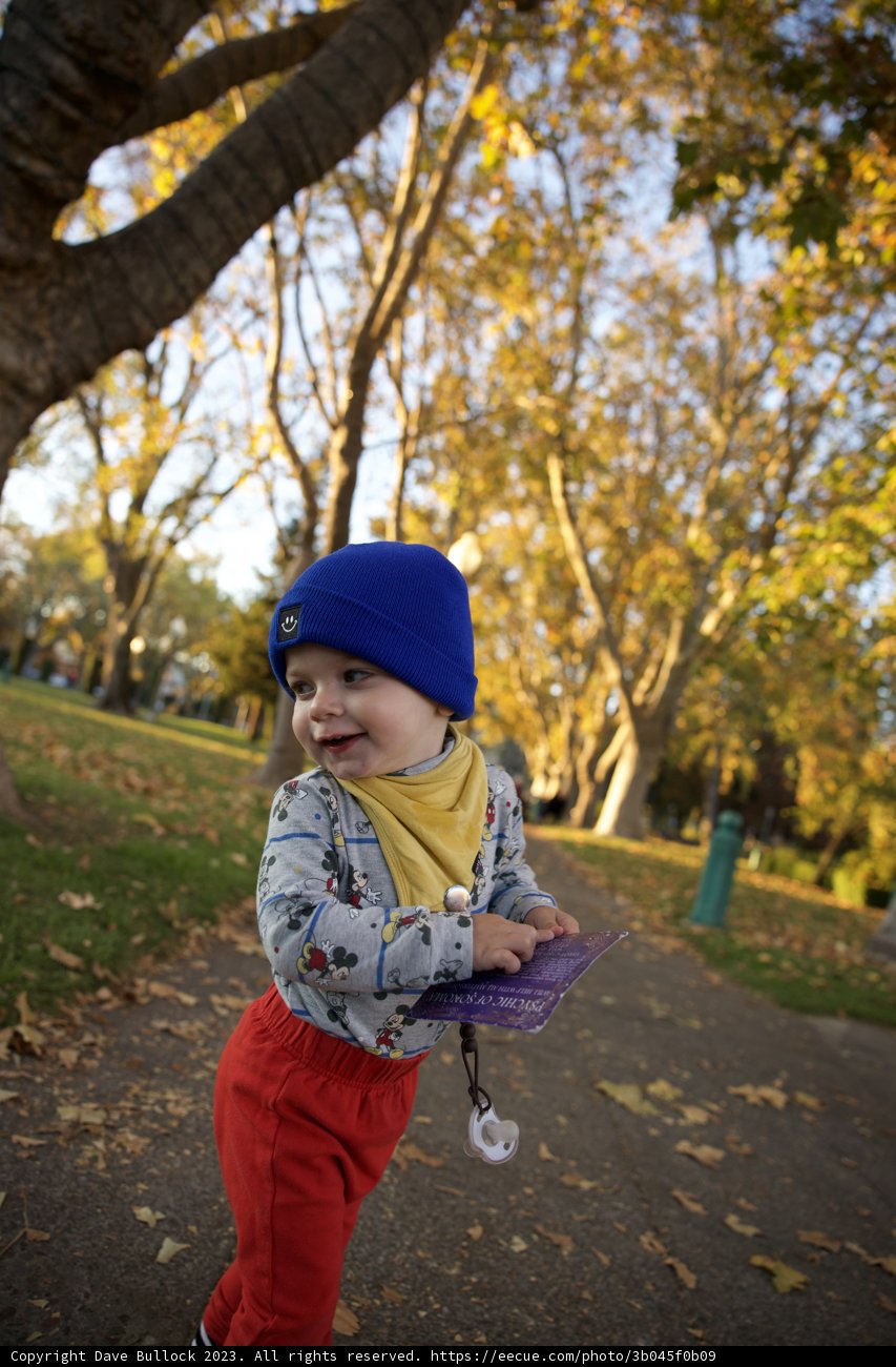 Tiny Trendsetter: A Vibrant Park Adventure
