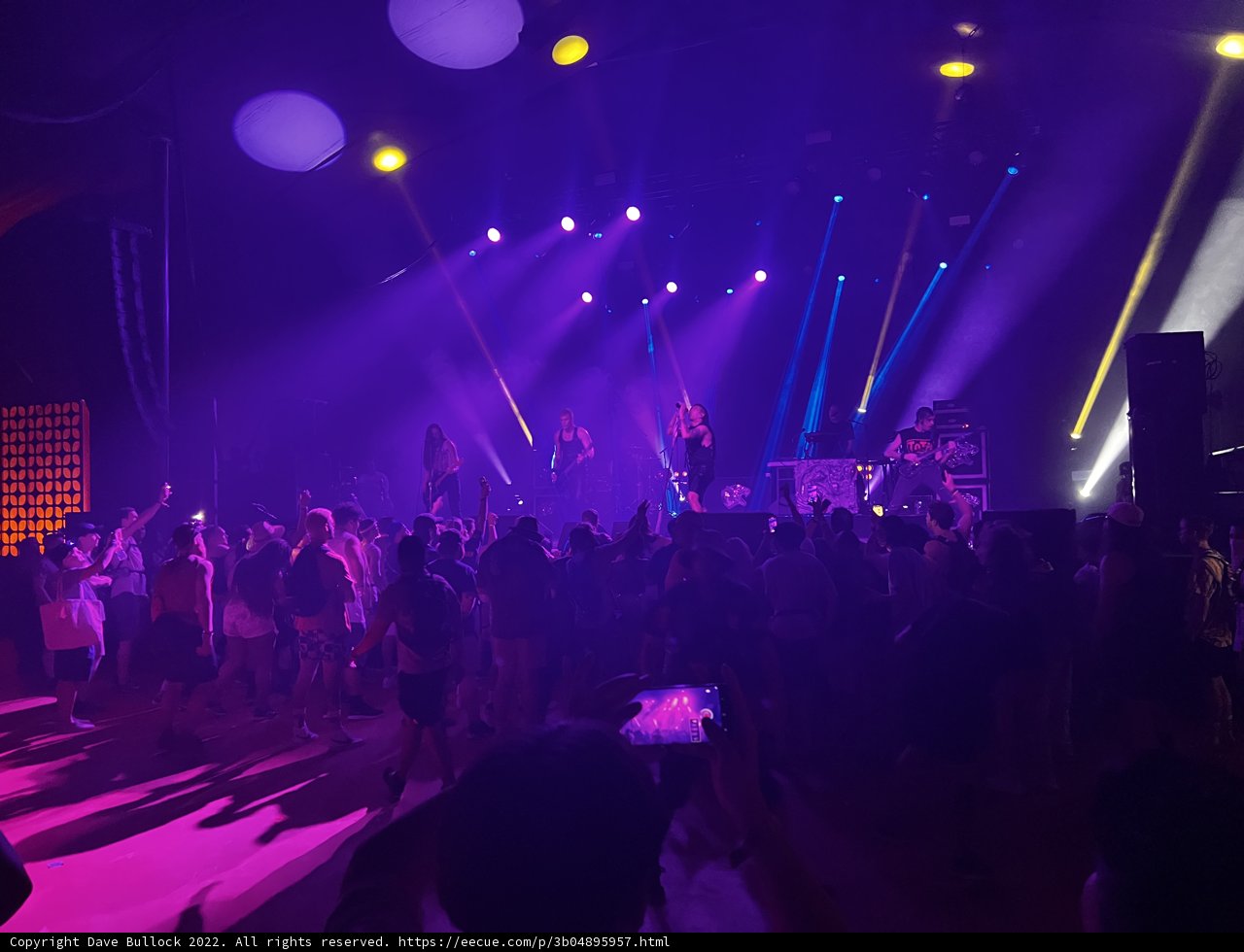 Purple Haze at Empire Polo Club