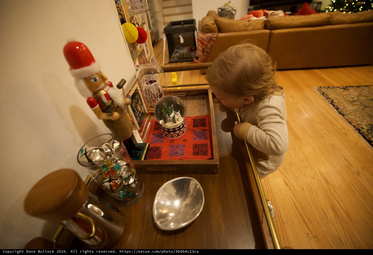 Young Child Examining Christmas Snow Globe Display